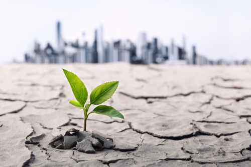 Towards Sustainable Soil Management: ARAGORN 2023-2027
