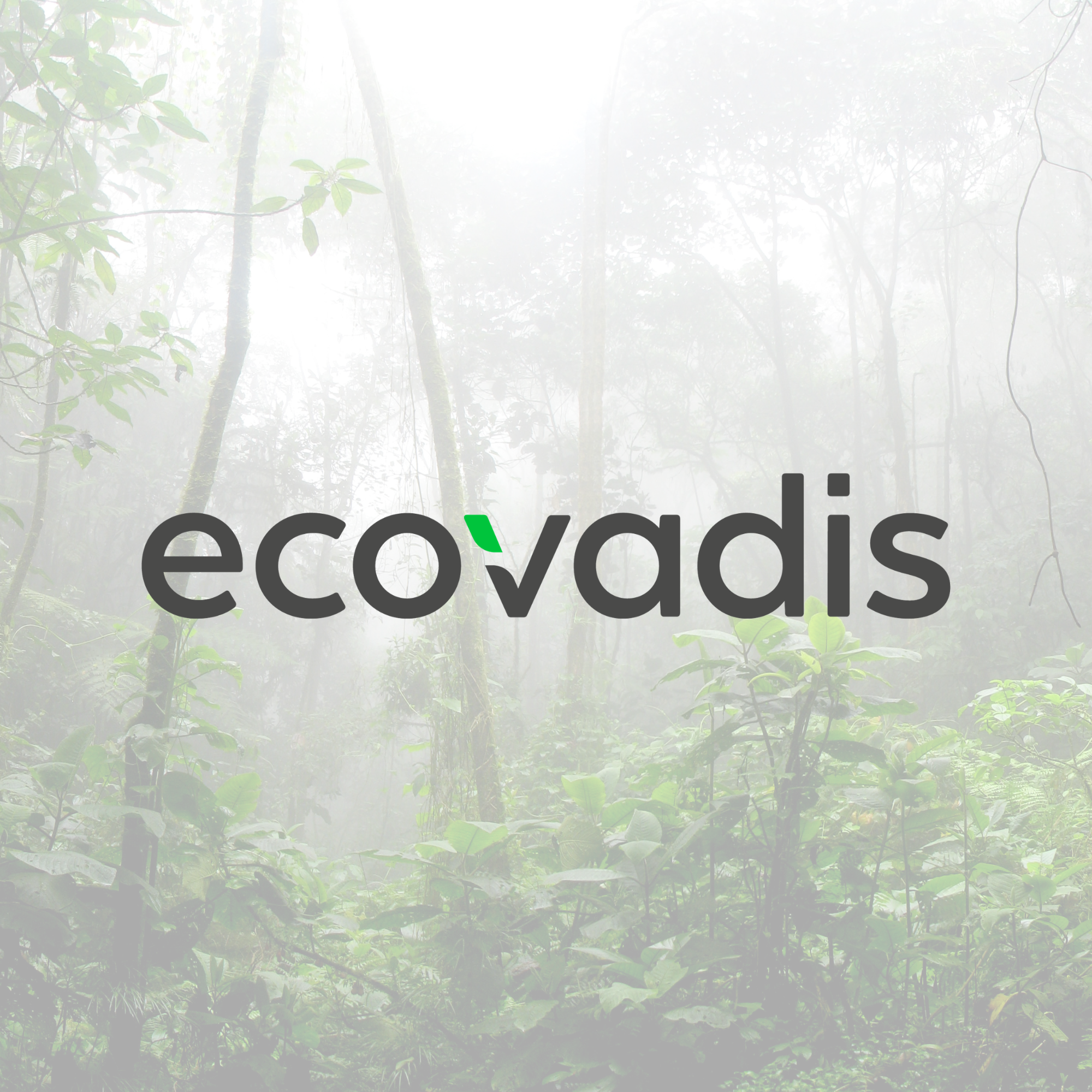 EcoVadis Bronze Medal