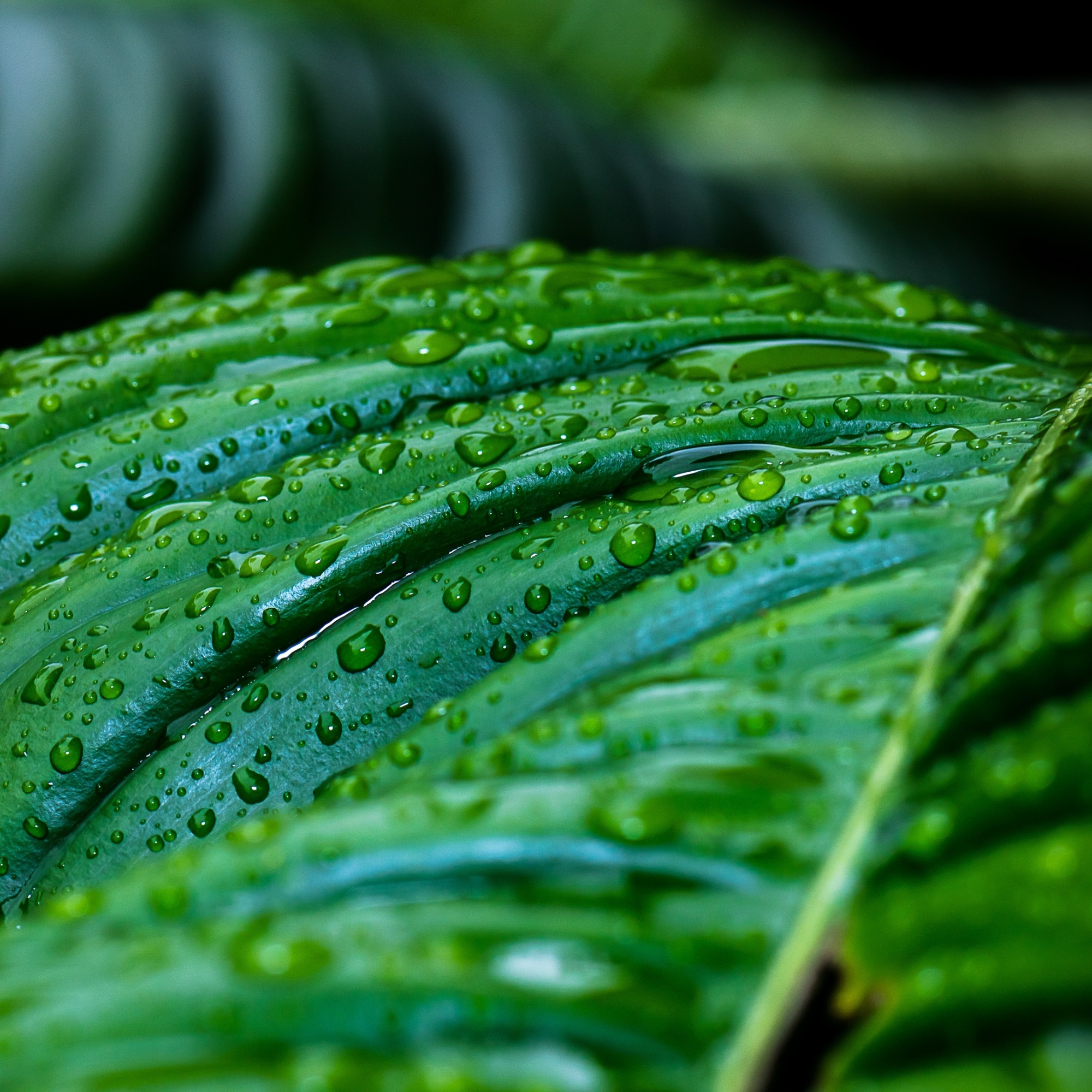 Safe and Sustainable by Design Webinar